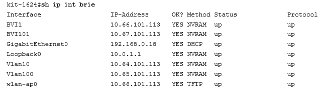 Show IP Interface Brief Command